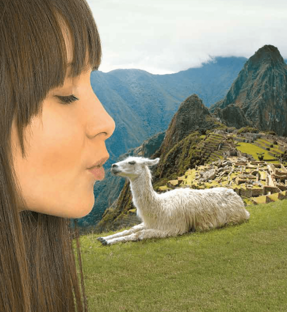 screen-shot-2017-02-21-at-4-44-02-pm